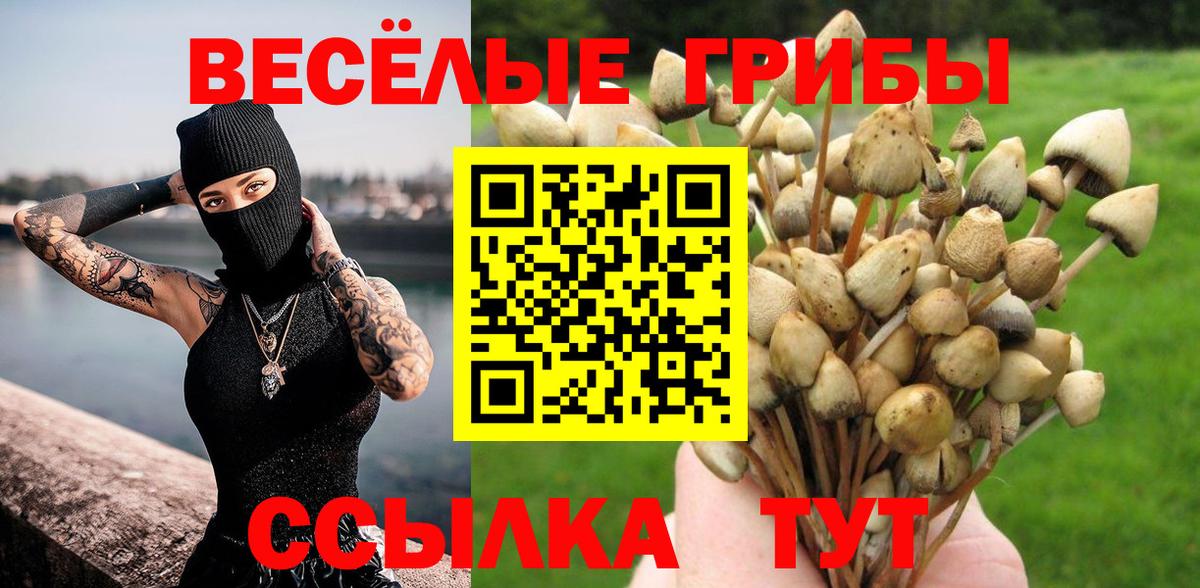 Галлюциногенные грибы мухоморы  Вход с VPN  Сунжа  что такое наркотик  Псилоцибиновые грибы мухоморы 