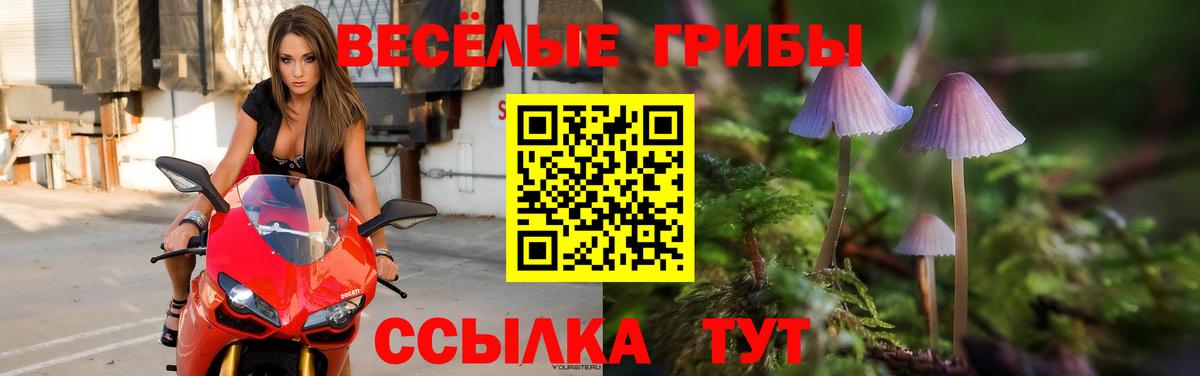 Галлюциногенные грибы прущие грибы Сунжа